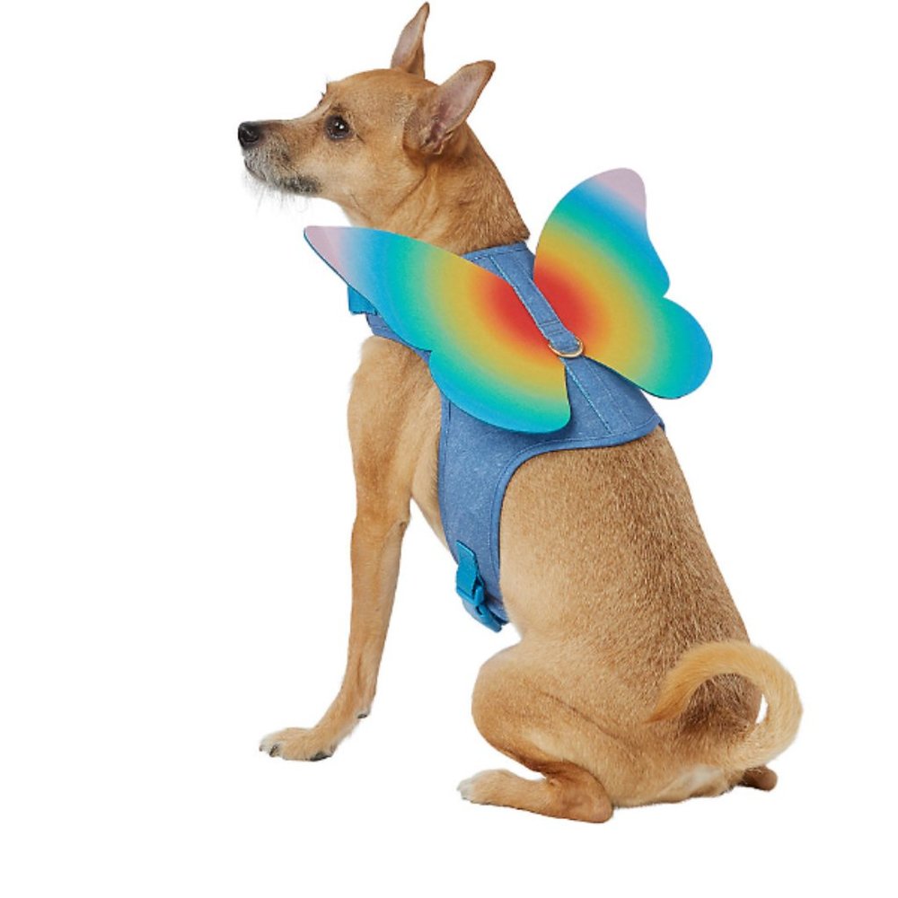 You Are Loved | Pride | Butterfly Dog Harness